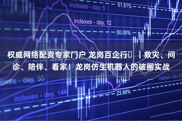 权威网络配资专家门户 龙岗百企行⑪｜救灾、问诊、陪伴、看家！龙岗仿生机器人的破圈实战