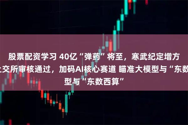 股票配资学习 40亿“弹药”将至，寒武纪定增方案获上交所审核通过，加码AI核心赛道 瞄准大模型与“东数西算”