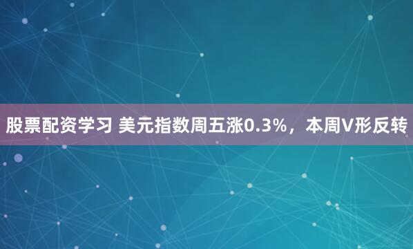 股票配资学习 美元指数周五涨0.3%，本周V形反转
